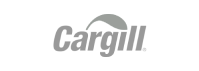 Frame 1000004242